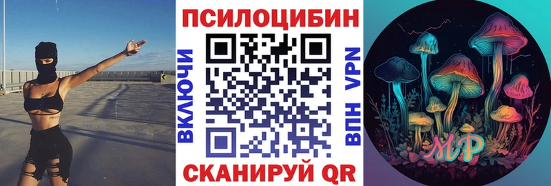Купить где  Кемерово  Псилоцибиновые грибы Cubensis 